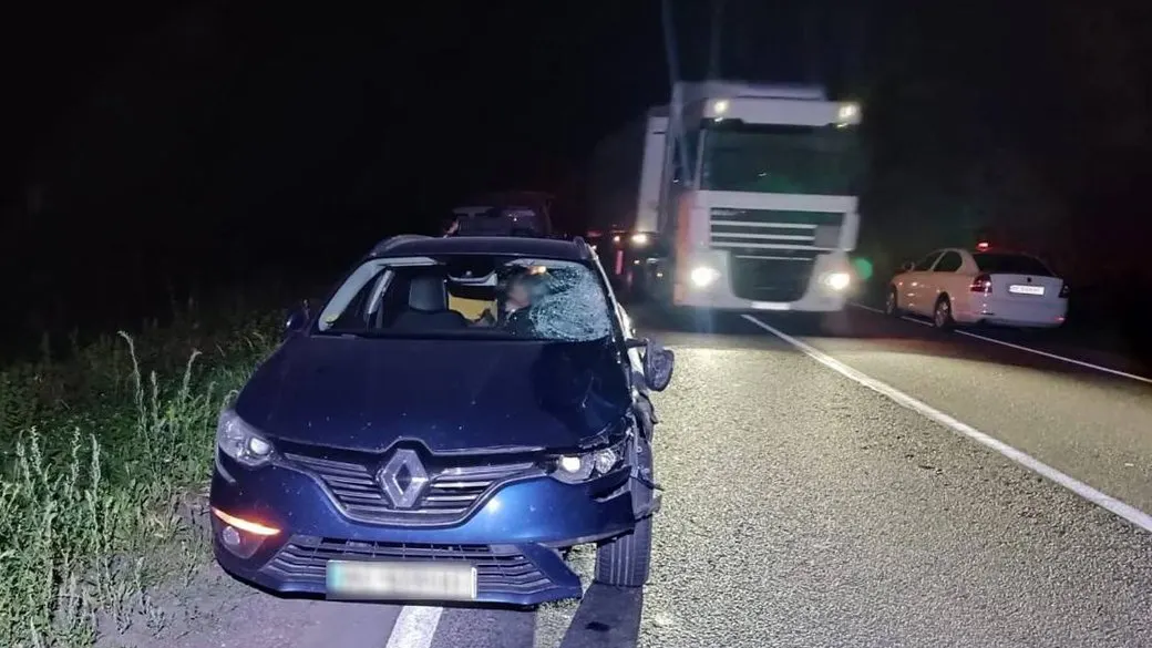 Смертельна ДТП на Львівщині: водій Renault збив пішохода на трасі Львів — Луцьк