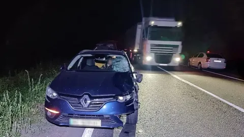 Смертельна ДТП на Львівщині: водій Renault збив пішохода на трасі Львів — Луцьк