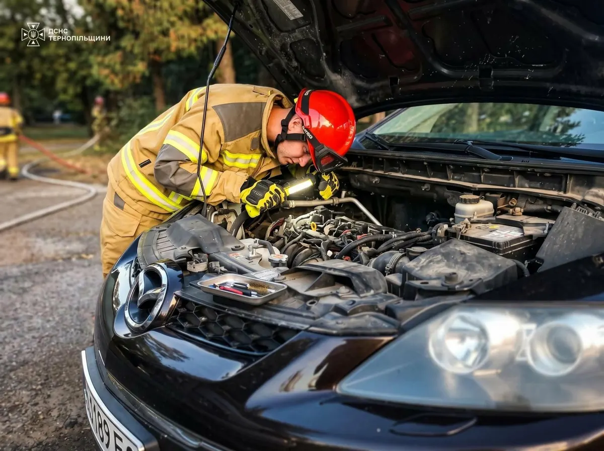 Під капотом Mazda у Тернополі виявили змію: рятувальники розповіли, що робити водіям