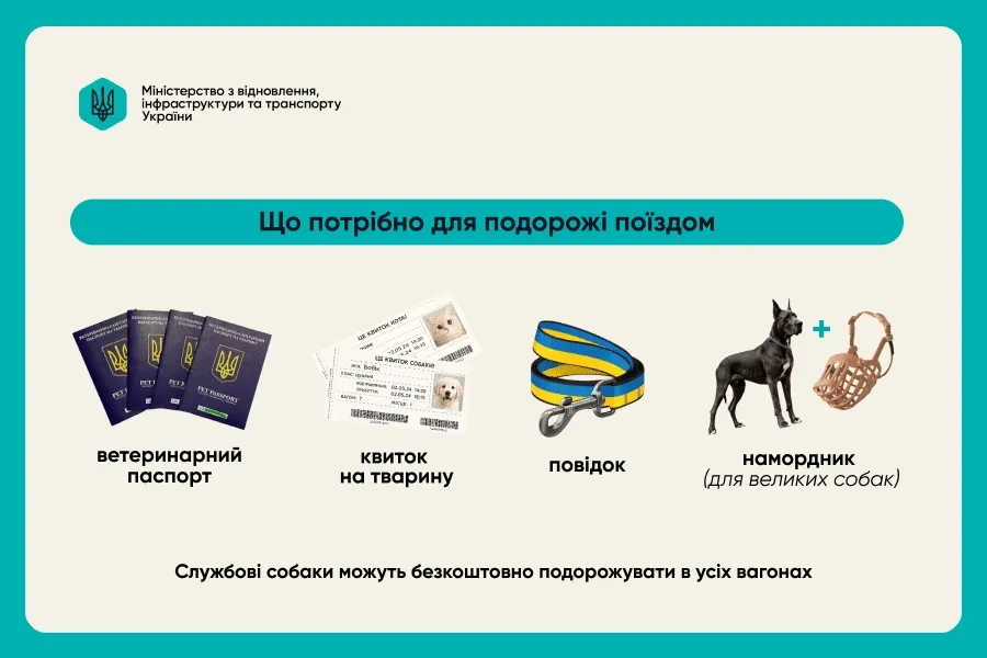 Перевезення тварин поїздом та автобусом: правила для водіїв і власників